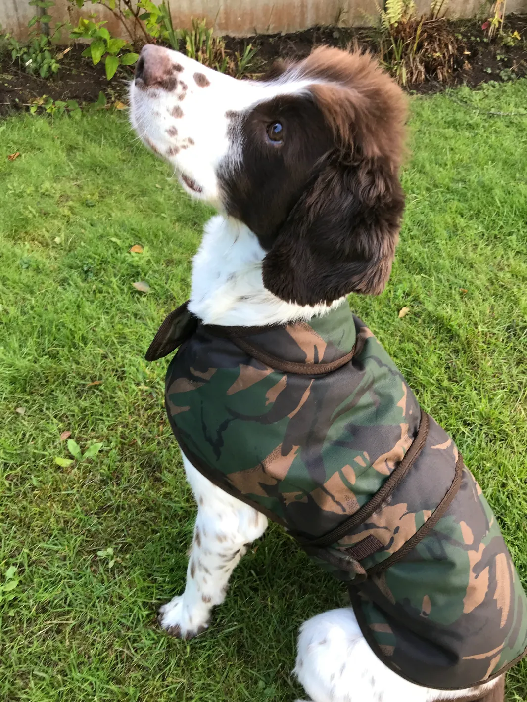 Dog Coat - Camo Wax