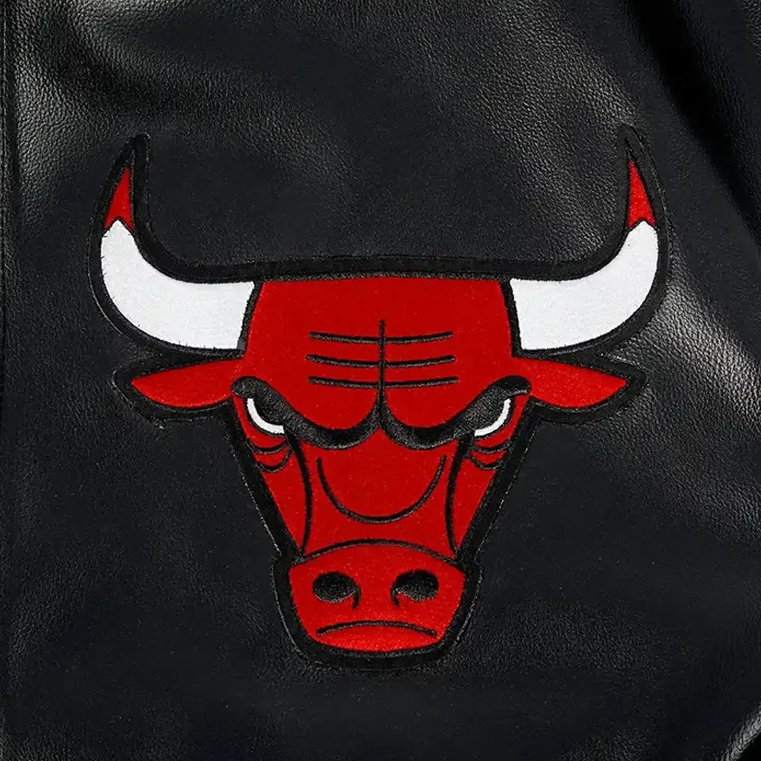 Men's NBA Chicago Bulls City Signatures Leather Varsity Jacket